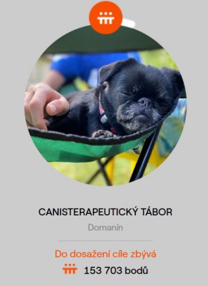 Podpořte s námi Hafíkův tábor