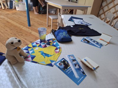 Máme nové Hafíkácké týmy! 🎉