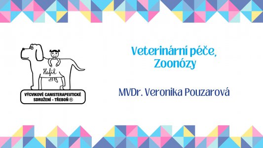 Veterinární péče a první pomoc u psa