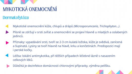 Veterinární péče a první pomoc u psa