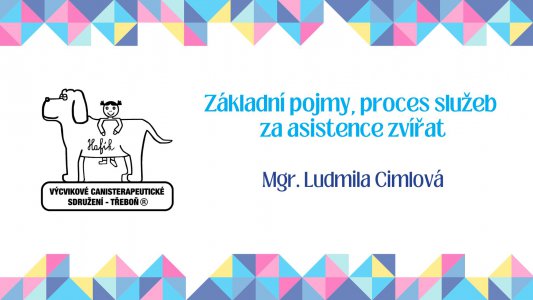 Základní pojmy, proces služeb za asistence zvířat
