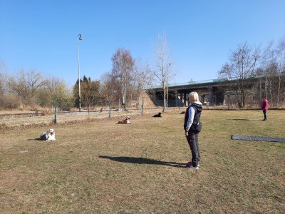 Jarní vstupní testy