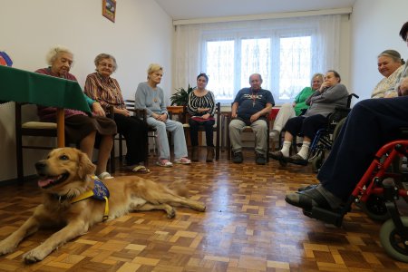 Ježíškova vnoučata 11.11....