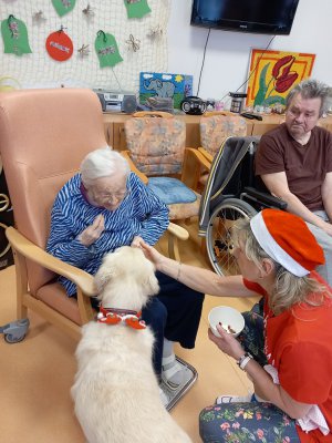 Ježíškova vnoučata 19.12....