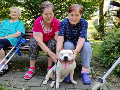 Ježíškova vnoučata