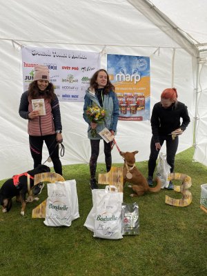 25 km ženy: 1. místo Lucie Vaníková s fenkou Finny v čase 2 hod. 22 min., 2. místo Michaela Glaserová s fenkou Aira v čase 2 hod. 31 min, 3. místo Barbora Mikulášová v čase 4 hodiny