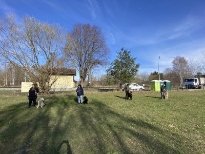 Vstupní testy 19.3.2024