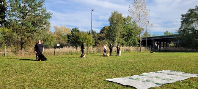 Vstupní testy 23.10.2023