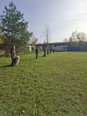 Vstupní testy 3.11.2024