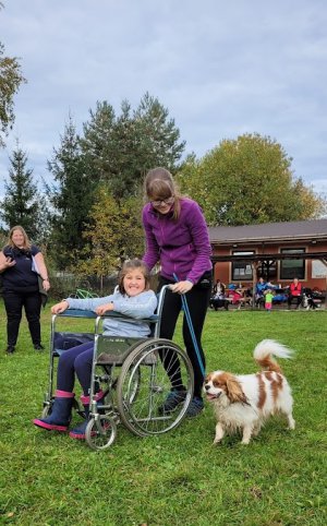 Vstupní testy podzim 2022