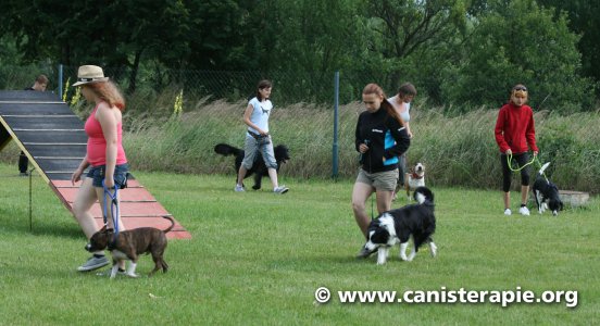 Výcvik canisterapeutickýc...