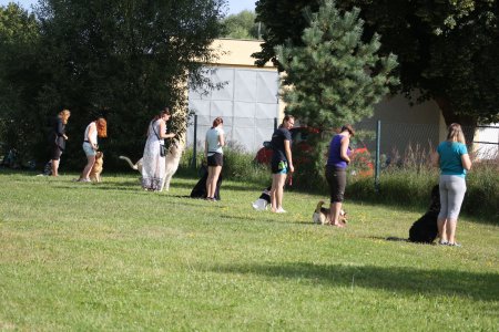 Výcvik canisterapeutickýc...