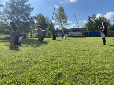 Výcvik nových týmů 2024