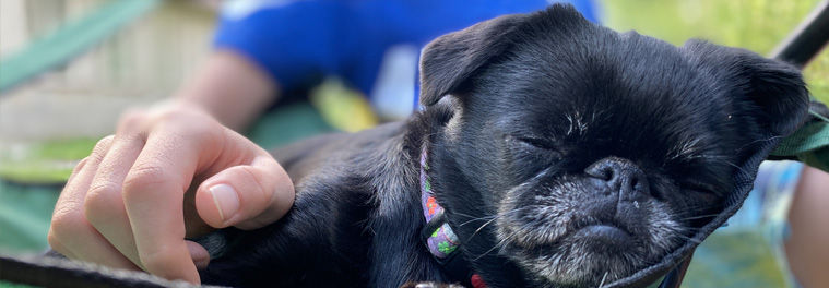 Přidej se k Hafíkovi!